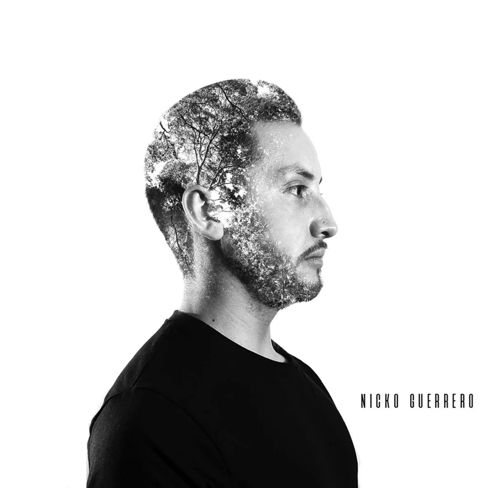 Pura Bulla album artwork